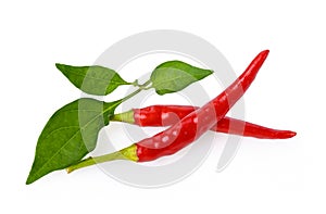 Red chilli with leaf on white background