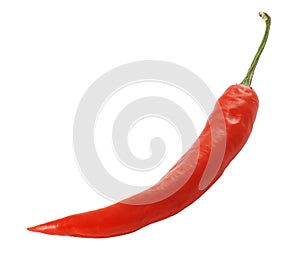 Red chilli pepper