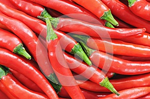 Red Chilli Pepper Background