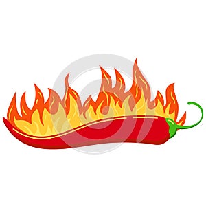 Red chilli pepper in burned fire flame vector icon isolated on white background.