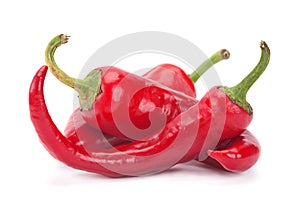 Red chilli pepper photo