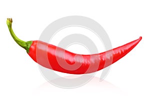 Red chilli pepper isolated