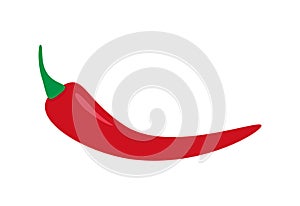 Red chilli pepper vector