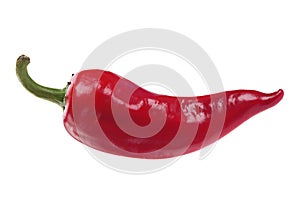 Red chilli pepper on white