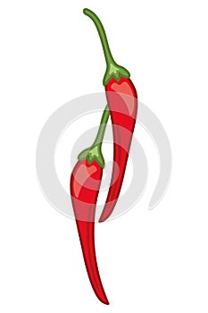 red chilli peppers illustration