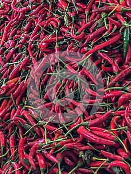 Red chilli peppers for sale at a market stall souk in Agadir, Morocco, Africa