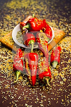 Red chilli pickle marinated in mustard seeds and mustard oil. Dark gothic style still life concept photo