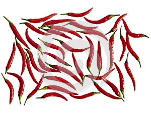 Red chilli pods on a white background