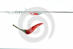 Red chilli, water splashes, solated on a white background