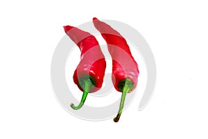 The red chilli on white isolate background