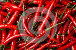 Red chillies