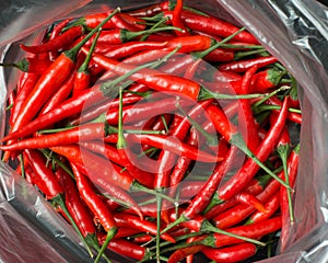 Red chillies