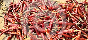 Red Chillies