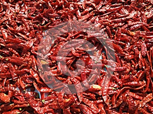 Red chillies Red texture Background. Indian spice Chilli or Capsicum pepper used in spicy food cooking preparation