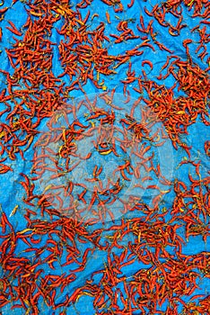 Red chillis drying