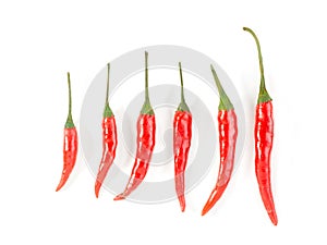 Six red chillis photo