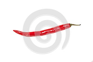 Red chilly pepper