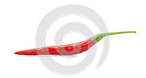 Red chilly pepper