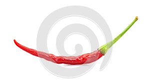 Red chilly pepper