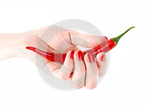 Red chilly pepper in hand isolated