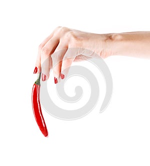 Red chilly pepper in hand isolated