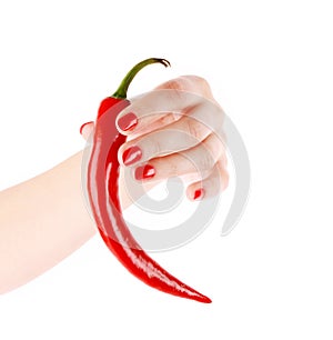 Red chilly pepper in hand isolated