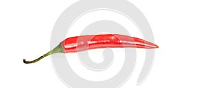 Red chilly pepper isolated on white background.