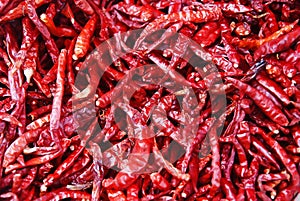 Red chilly pepper pile