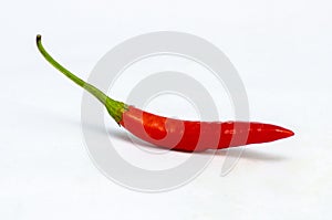 A only red chilly pepper, white