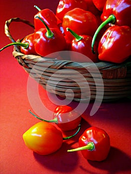Red chilly peppers on basket