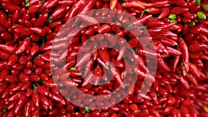 Red chilly peppers in bunches