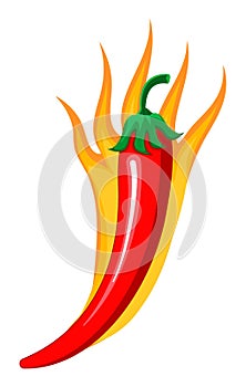 Red chilly peppers are burning as spicy sign. Cartoon vector isolated on the white background. Hot chillies in fire for