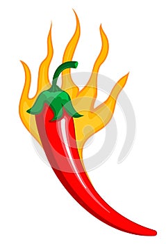 Red chilly peppers are burning as spicy sign. Cartoon vector isolated on the white background. Hot chillies in fire for