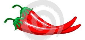 Red chilly peppers vector isolated on the white background. Hot chillies for food logo, banner, flyer