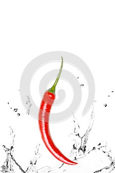 Red Chilly in Water