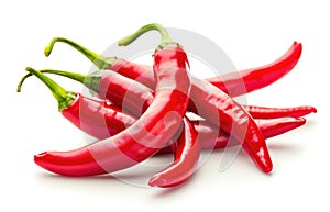 red chily pepper isolated photo