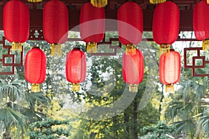 Red chinese lanterns hanging with trees in sunlight in the backg