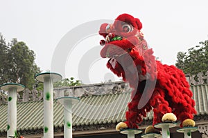 Red chinese Traditional lion dancing performance celebration festival Chinatown