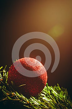 Red christmas ball on the branch of fir-tree on beautiful golden volumetric light background