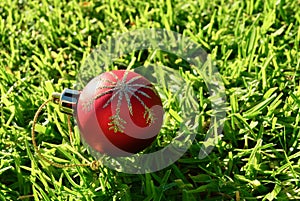Red Christmas ball decoration on green grass background Christmas in July