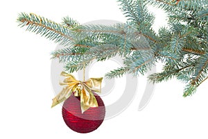 Red christmas ball decorations on fir tree