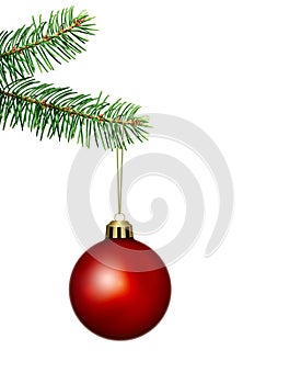 Red christmas ball and fir