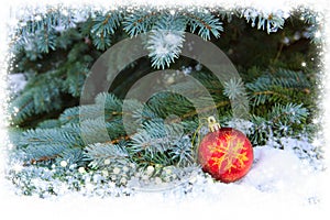 Red christmas ball on the Fir Branch covered with Snow.