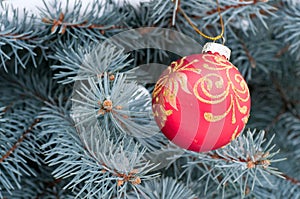Red Christmas ball with gold pattern on blue spruce