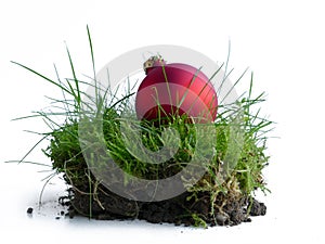 Red christmas ball in the grass, a piece of nature