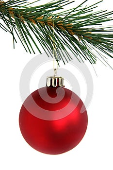 Red christmas ball hanging from branch