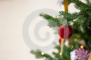 Red Christmas ball hanging on a branch of a Christmas tree