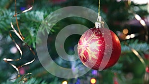 Red Christmas Ball hanging on a Fir Tree Branch. Christmas Background.