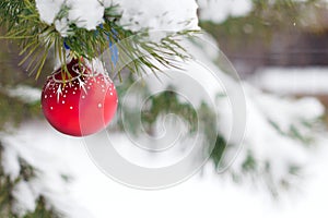 Christmas ball hanging on branches covered with snow.