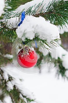 Christmas ball hanging on branches covered with snow.